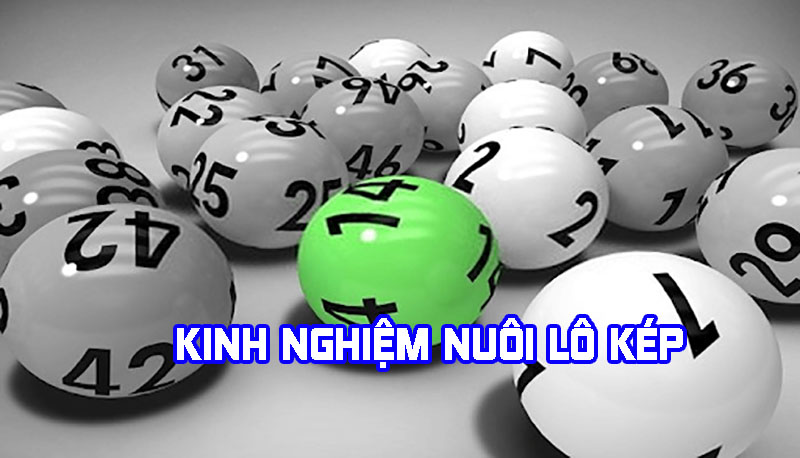 Kinh nghiệm nuôi lô kép